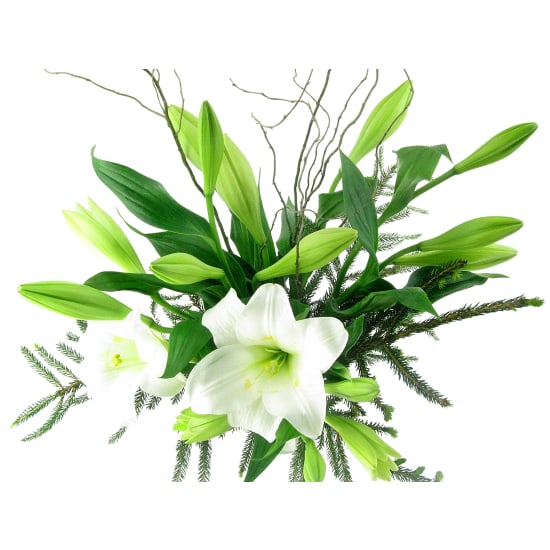 Peace On Earth - Standard