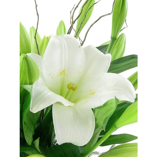 Peace On Earth - Standard