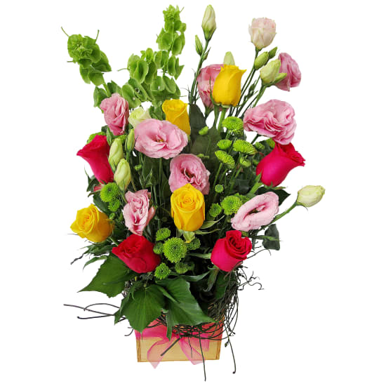 Boundless Beauty - Standard