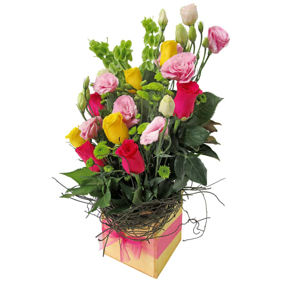 Boundless Beauty - Standard