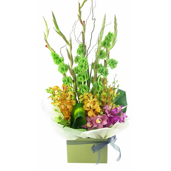 Make A Splash - Standard