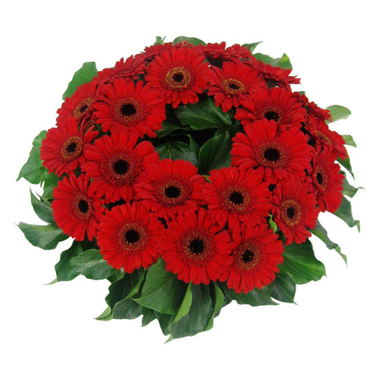 Daisy Chain Wreath - Standard