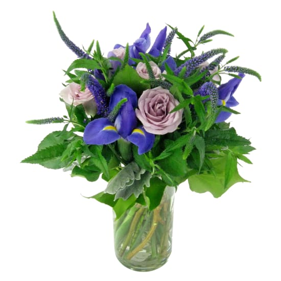 Carefree Summer - Standard