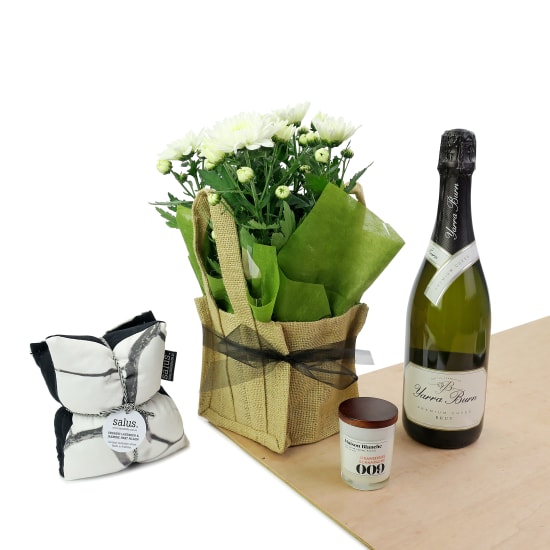 She Sparkles - Standard