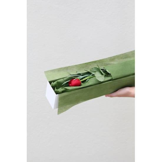 Single Elegant Rose - Standard