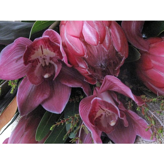 Best Dressed - Standard