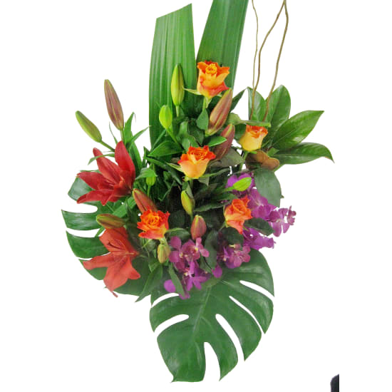 Happy Dance Arrangement's | Melbourne Flower Delivery