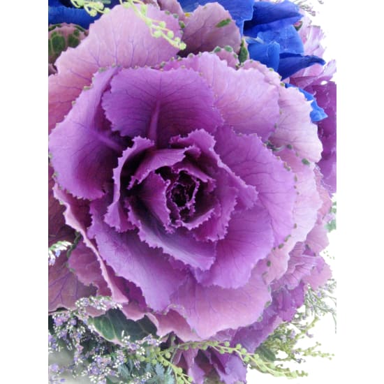 Whispers Of Winter - Standard