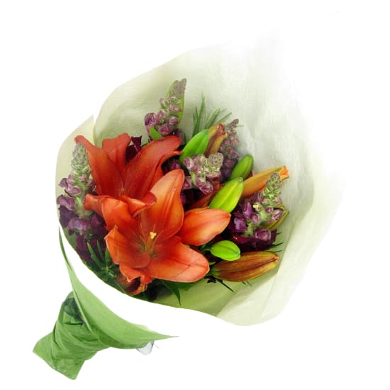 Snapdragons and Lilies - Standard