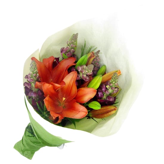 Snapdragons and Lilies - Standard