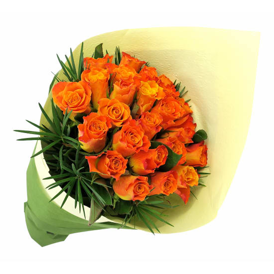 Orange Roses - 24 Roses (Two Dozen)