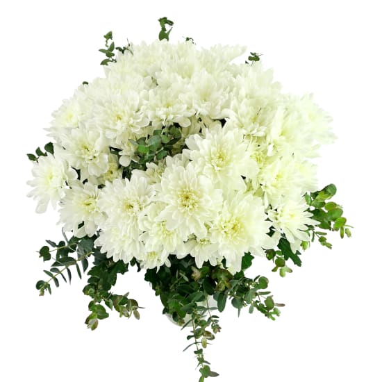 Chrysanthemum Vase - Premium