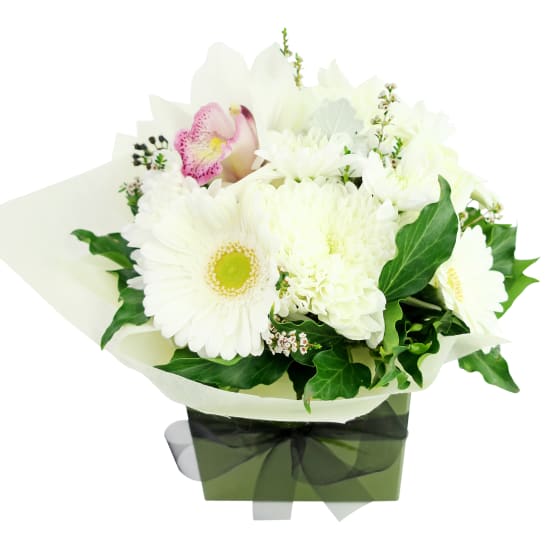 Posy Box - Standard