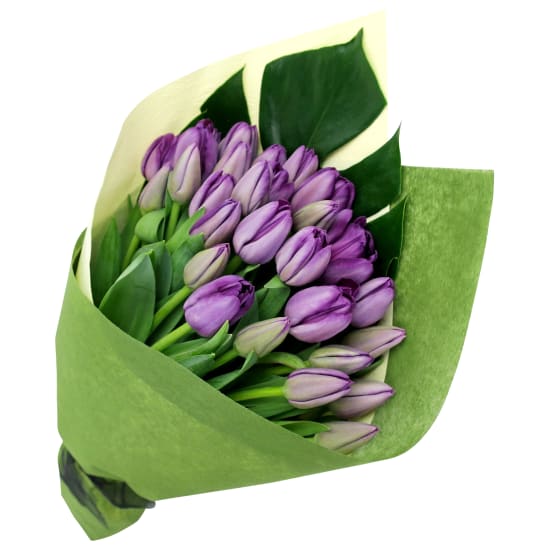 Mum's Day Purple Tulip Bunch - Premium