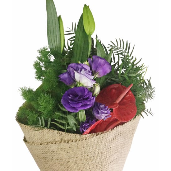 Garden Glad - Standard