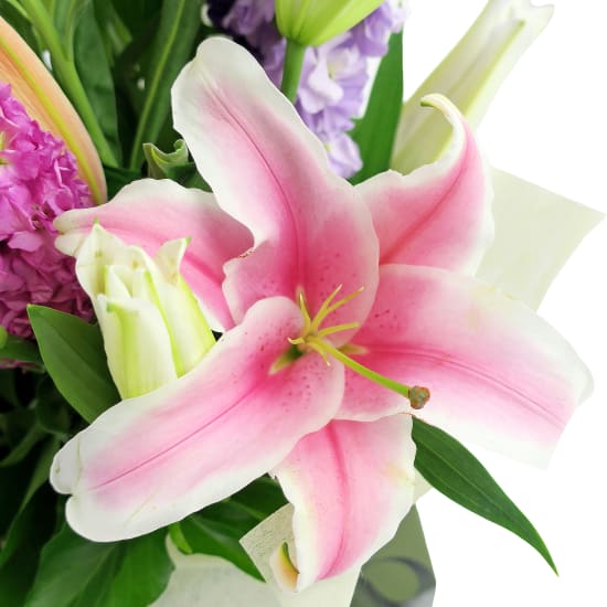 Scented Arrangement - Premium