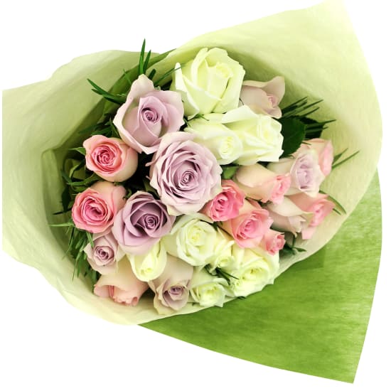 Pastel Roses - 24 Roses (Two Dozen)