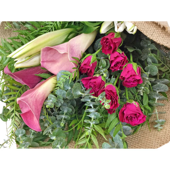 Enchanted By You - Standard