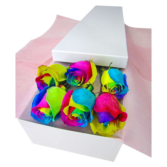 6 Elegant Rainbow Roses - 6 Roses (Half Dozen)