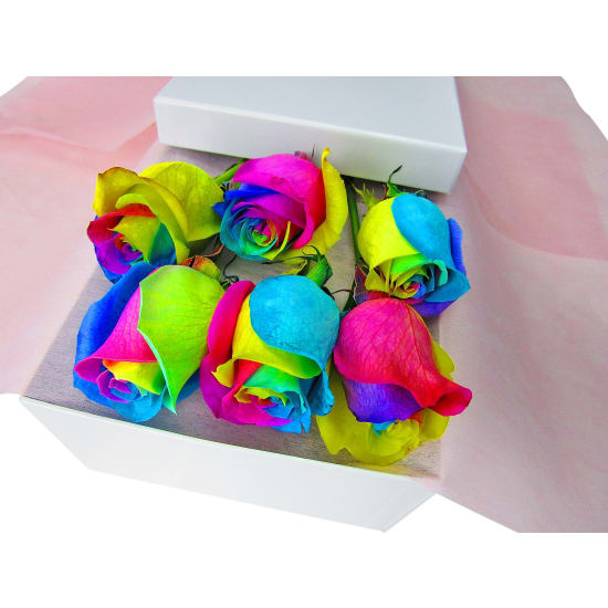 6 Elegant Rainbow Roses - 6 Roses (Half Dozen)