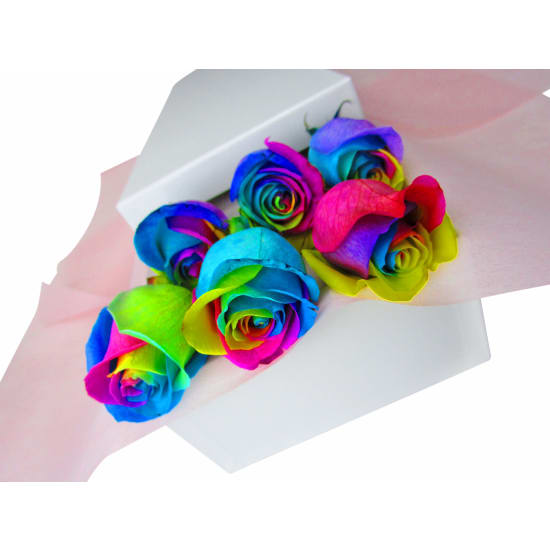 6 Elegant Rainbow Roses - 6 Roses (Half Dozen)