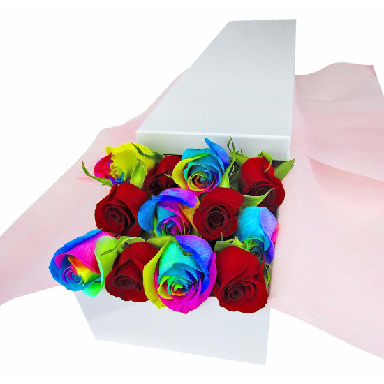 Endless Love - 12 Roses (One Dozen)