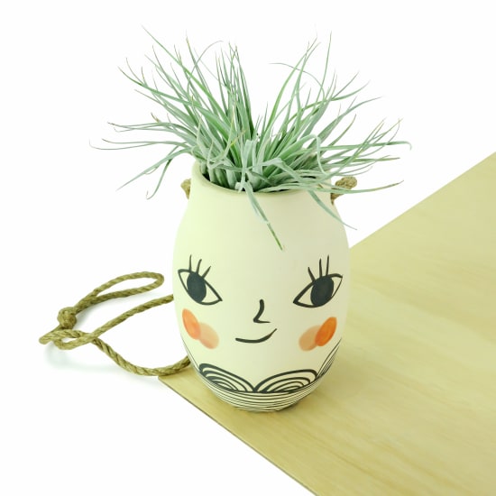 Miss Cosette - Air Plant - Standard