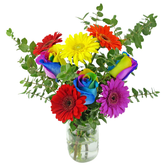 Colourwheel - Standard