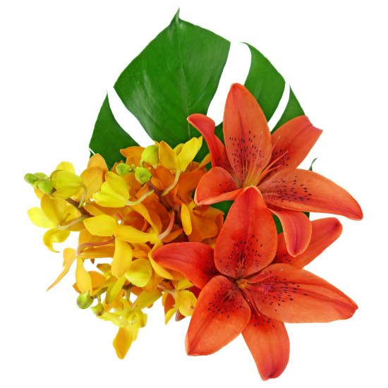 Island Style - Standard