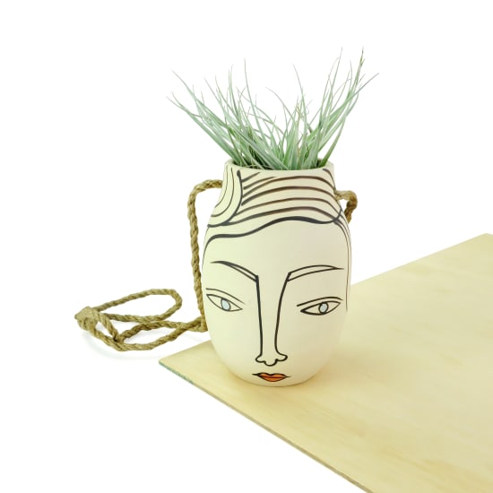 Miss Greta - Air Plant - Standard