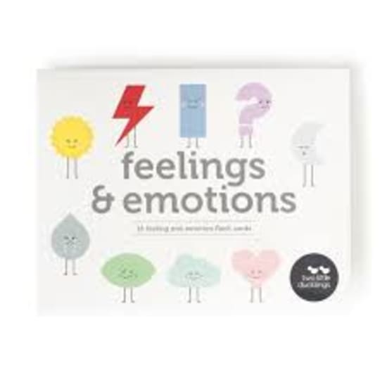 Feeling & Emotions Flash Cards - Standard