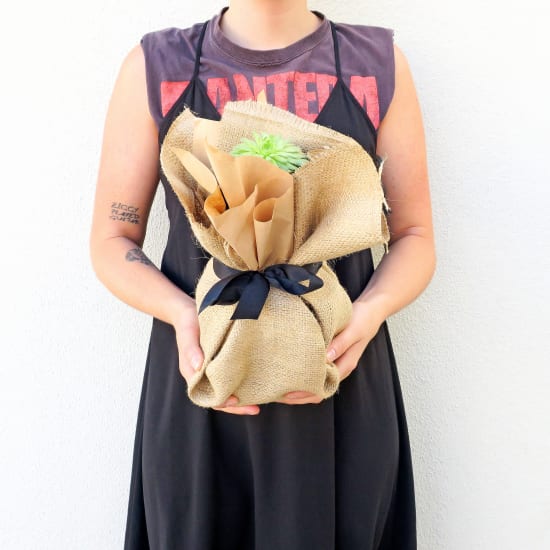 Hoppy Hour - Standard