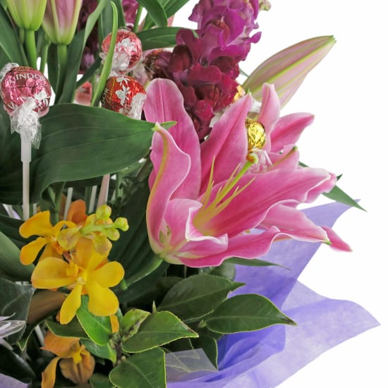 Sugar Rush - Standard