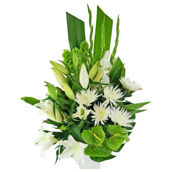 Efflorescence - Standard