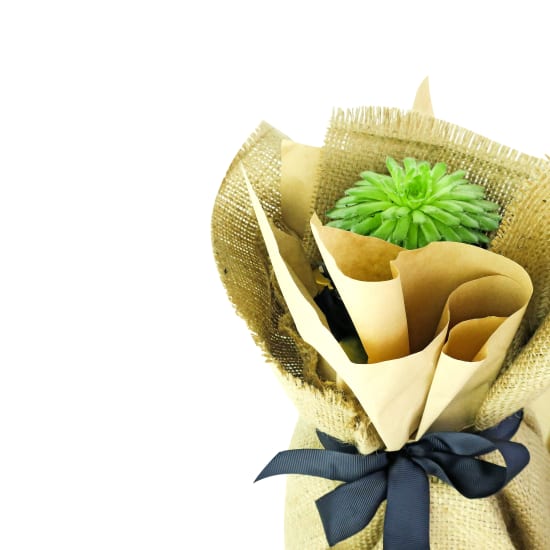 Pint Of No Return - Standard