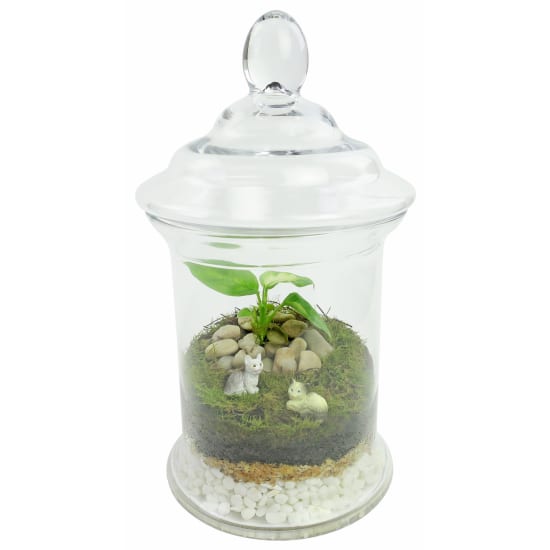 Purrfect Palace Terrarium - Standard