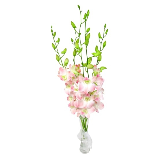 Simply Grace - Standard