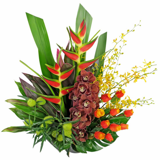 The Only One - Standard