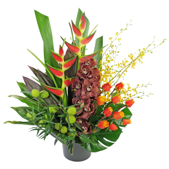 The Only One - Standard