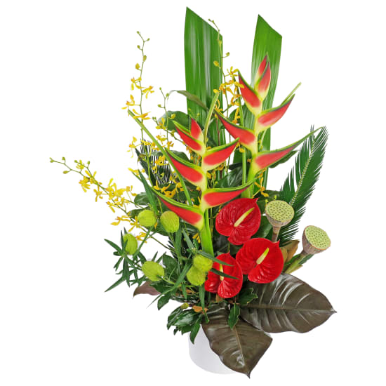 Wild Side - Standard