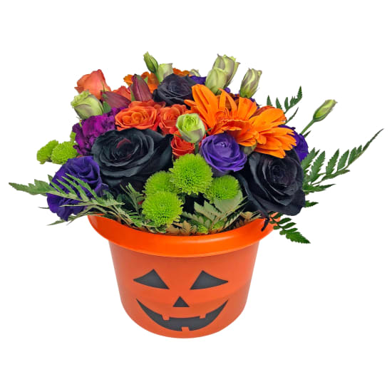 Pumpkin Posy - Standard