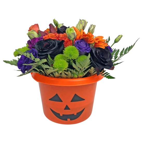 Pumpkin Posy - Standard