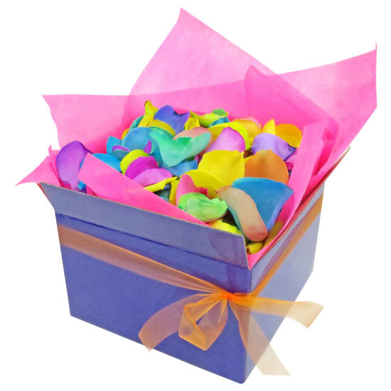 Rainbow Road Rose Petals - Deluxe