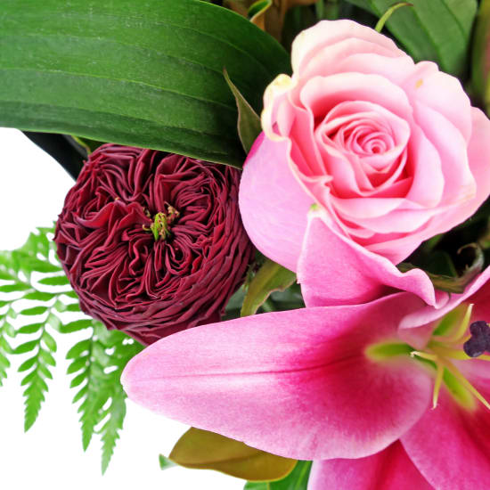 Light Of My Life - Standard