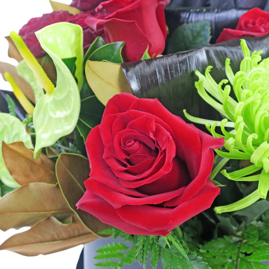 Prized Beauty - Standard