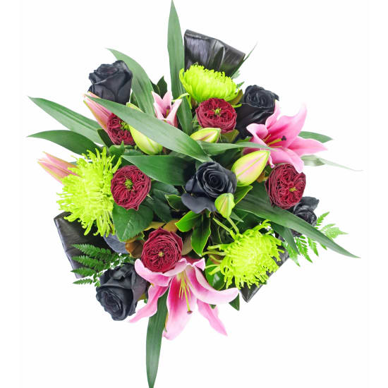 Trend Setter - Standard