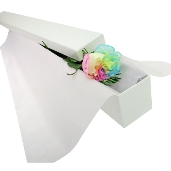 Single Unicorn Rose - Standard