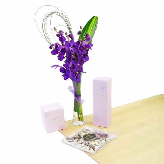 Jazz-Mine It Up - Standard