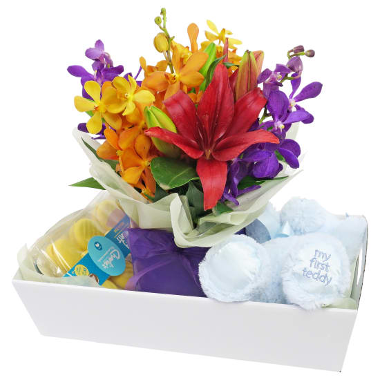 Handsome Baby Boy - Standard