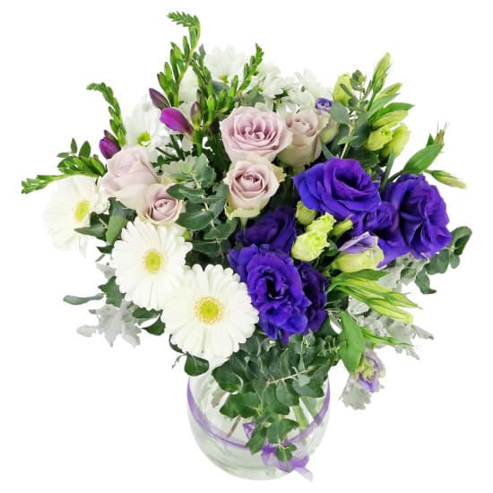 Purple Passion - Standard